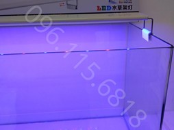 MÁNG ĐÈN LED XML-80/14W ĐỔI MÀU 3 CHẾ ĐỘ PHÙ HỢP CHO BỂ CÁ DÀI 80CM